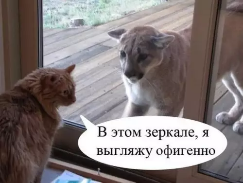 Смешная картинка №696727
