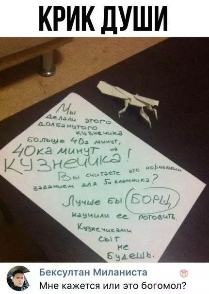 Смешная картинка №467788 Крик души