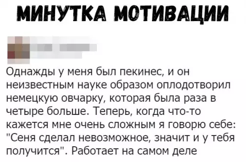 Смешная картинка №329309 собаки