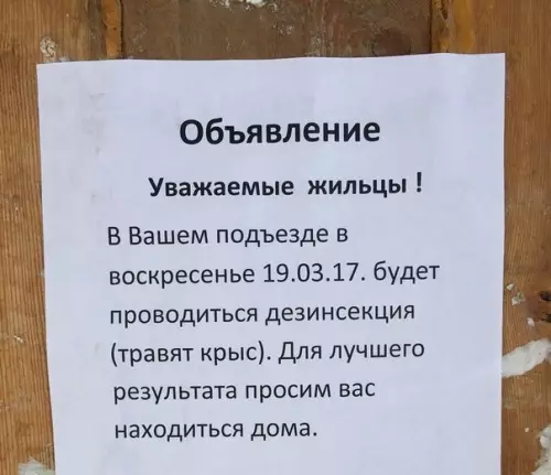 Смешная картинка №220017