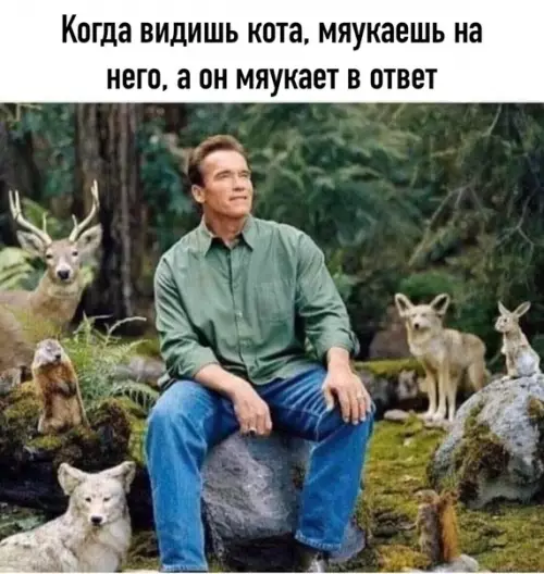 Смешная картинка №500446 В таких случаях нужно идти в больницу