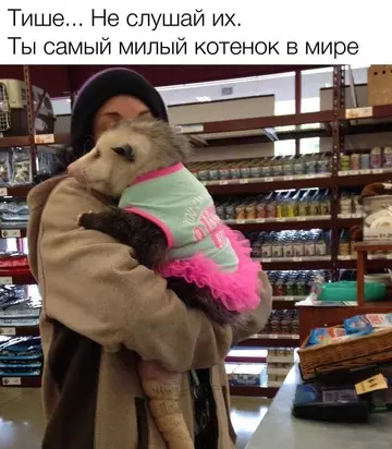 Смешная картинка №733544