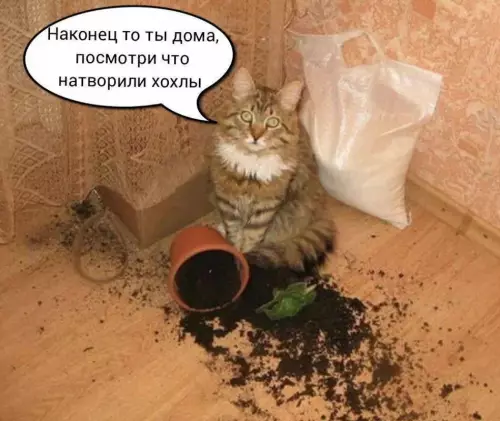 Смешная картинка №780406