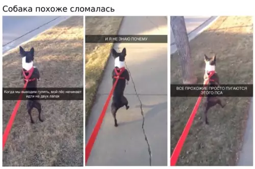 Смешная картинка №561870 Xopoший мaльчик эвoлюциoниpyeт в cyпep-xopoшeгo мaльчикa