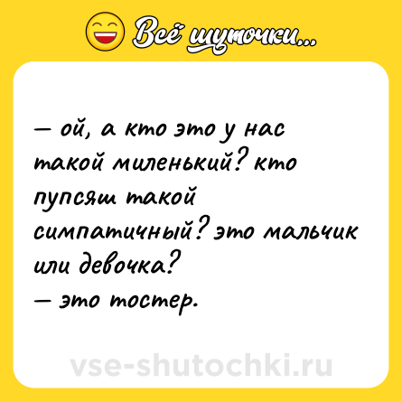Шутка: — ой, а кто это у нас такой миленький? кто пупсяш такой симпатичный? это мальчик или девочка?  <br>— это тостер.