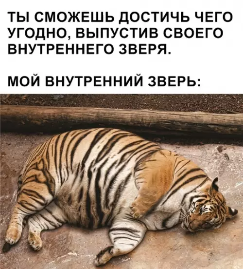 Смешная картинка №342037