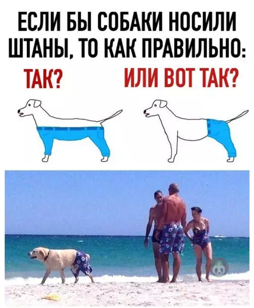 Смешная картинка №499861 Ну все, одной тайной меньше!