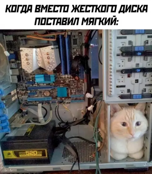 Смешная картинка №508212