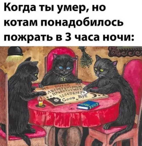 Смешная картинка №703132 коты