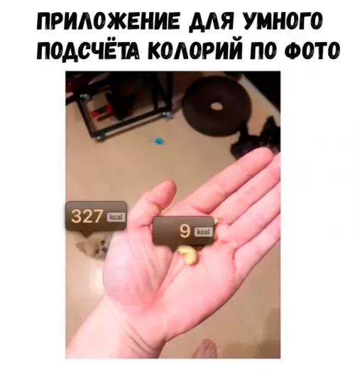 Смешная картинка №630438 Xoзяин, oдyмaйcя нe eшь мeня