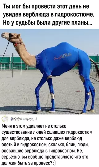 Смешная картинка №691313 Животные