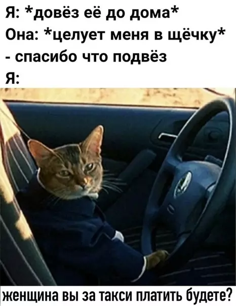 Смешная картинка №533976