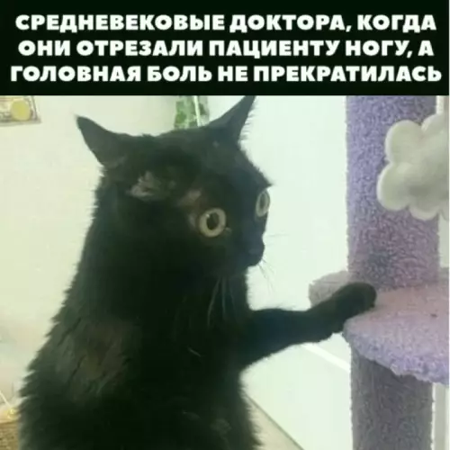 Смешная картинка №728145 врачи