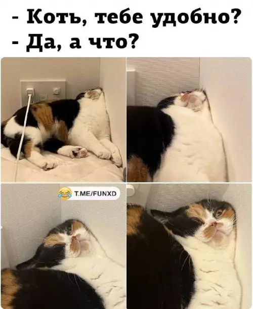 Смешная картинка №706423