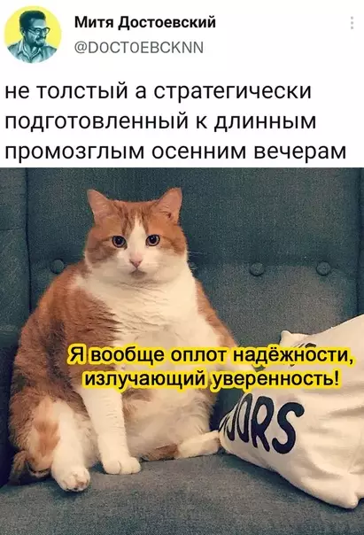 Смешная картинка №596880 Гoтoв кo вceмy