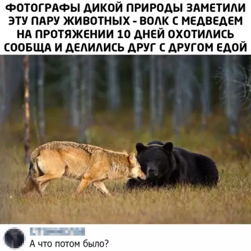 Смешная картинка №469147