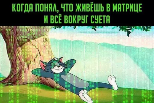 Смешная картинка №716297