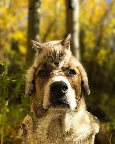 Смешная картинка №412572 ❤