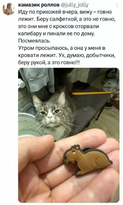 Кот — мастер пранков! 🐾😂 - Иду по прихожей вчера, вижу говно лежит. Беру салфеткой, а