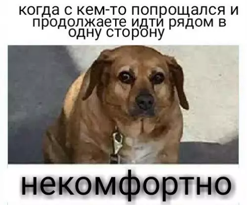 Смешная картинка №281600