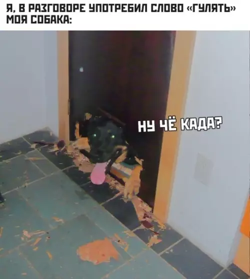 Смешная картинка №361529 #приколы #картинки #мемы ?