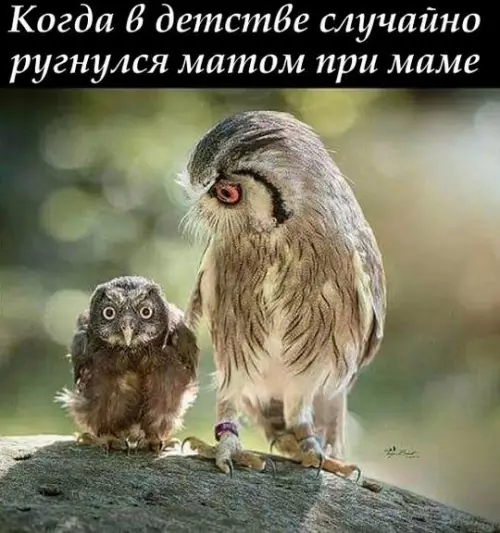 Смешная картинка №193830