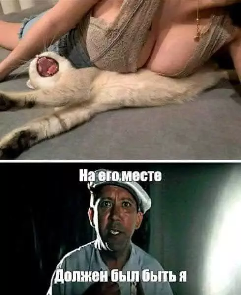 Смешная картинка №713939