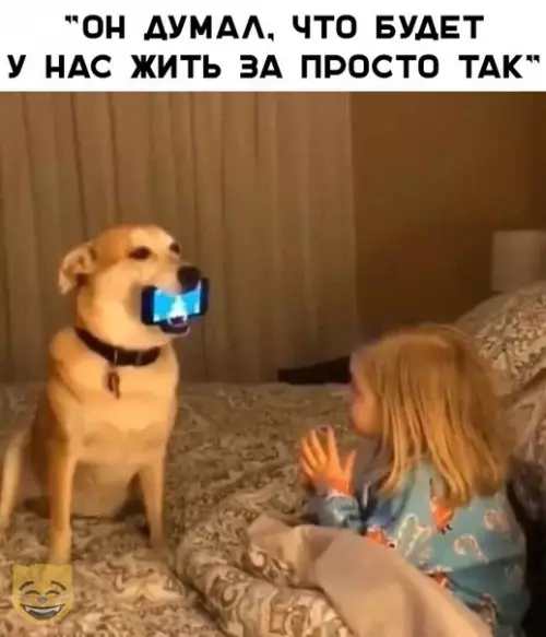 Смешная картинка №368129 #приколы #картинки #мемы ?
