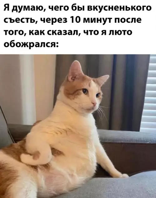 Смешная картинка №665905
