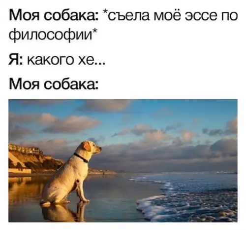 Смешная картинка №473584