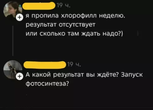 Хлорофилл и фотосинтез