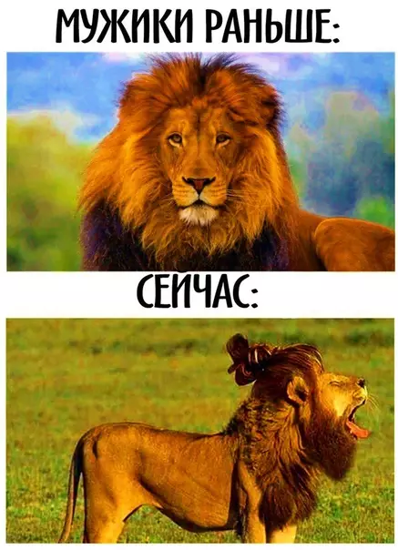 Смешная картинка №302606