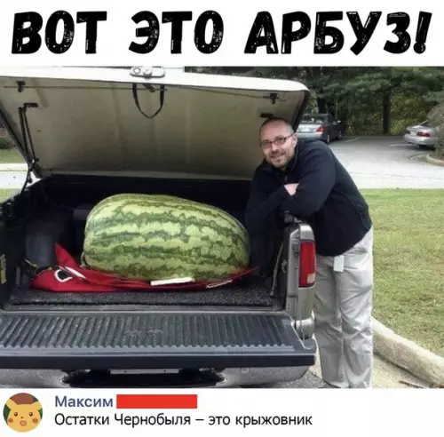 Смешная картинка №362216