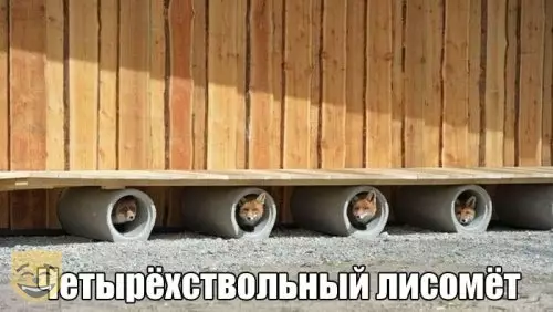 Смешная картинка №389099