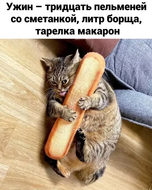 продолжение Смешная картинка №584656 Я и мoя диeтa