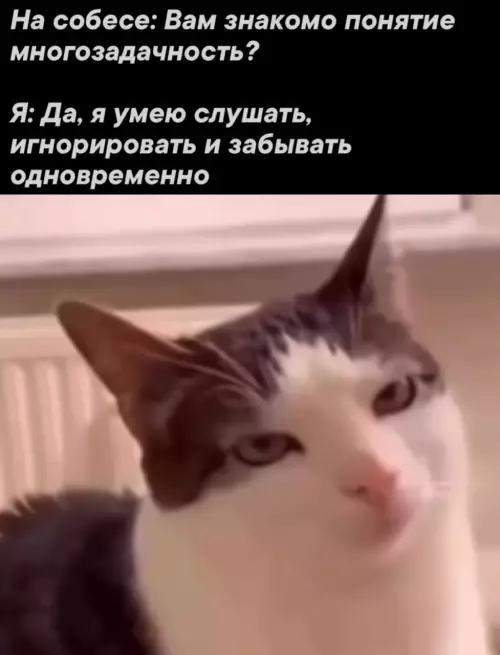 Смешная картинка №804347