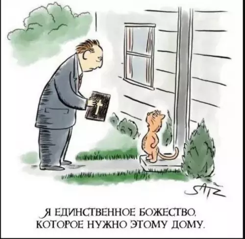 Смешная картинка №716552