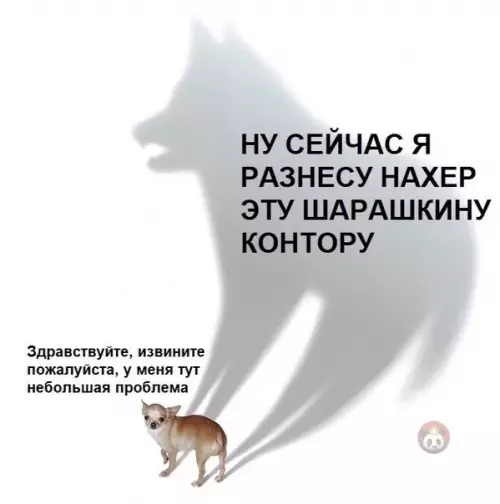 Смешная картинка №495370 Знакомо?)