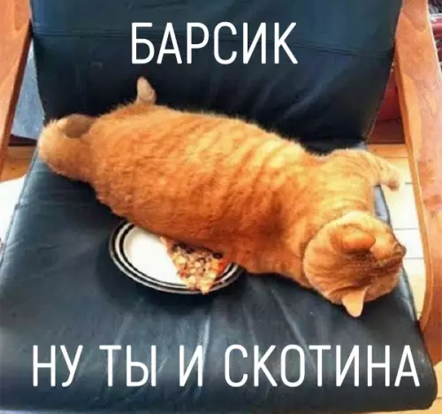 Смешная картинка №284074
