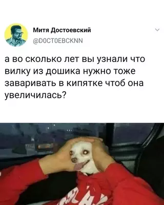 Смешная картинка №685478