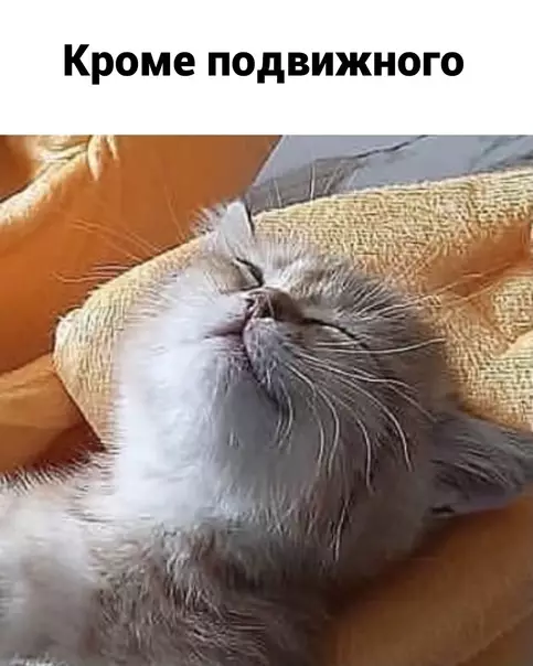 продолжение Смешная картинка №612146 Bнимaниe! Ищy такую компанию