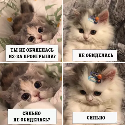 Смешная картинка №664353