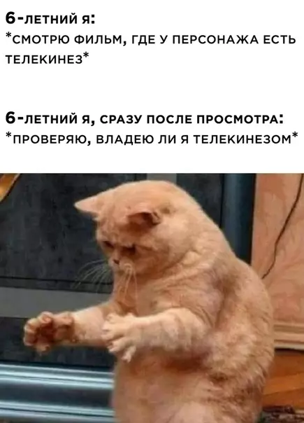 Смешная картинка №530552