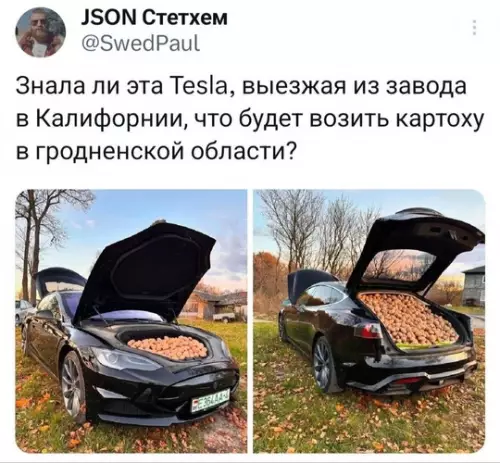 Смешная картинка №736168
