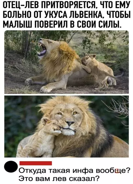 Смешная картинка №504079 Чертовски хороший вопрос!  ?
