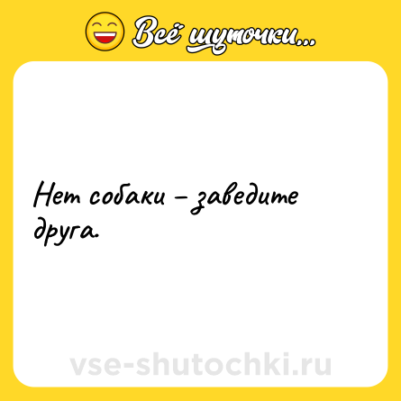 Шутка: Нет собаки – заведите друга.