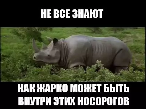 Смешная картинка №188922