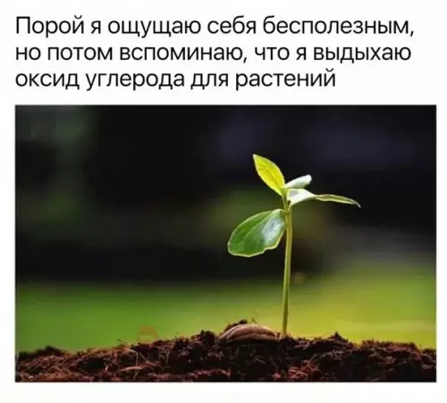 Смешная картинка №258021 И сразу на душе становится легче