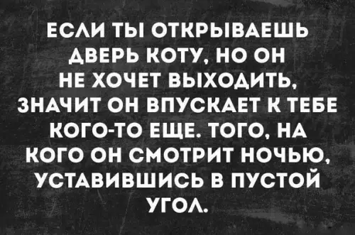 Смешная картинка №255587 коты