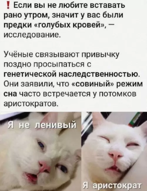 Смешная картинка №739140